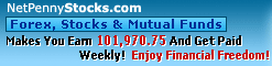 NET PENNY INVESTMENTS